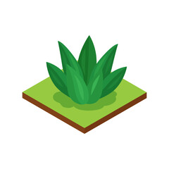 Isometric Jungle Lily Composition