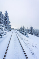 Brocken Railway and snowed in trees landscape Brocken Harz Germany