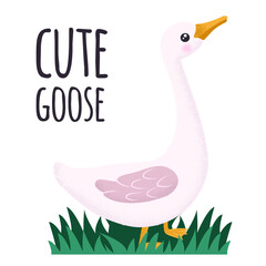 White and pink Goose. Cute vector illustration in simple hand-drawn cartoon style. Cute cartoon ducks. Character bird with texture
