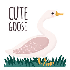 White and pink Goose. Cute vector illustration in simple hand-drawn cartoon style. Cute cartoon ducks. Character bird with texture
