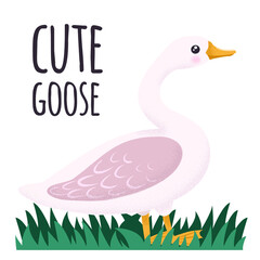 White and pink Goose. Cute vector illustration in simple hand-drawn cartoon style. Cute cartoon ducks. Character bird with texture
