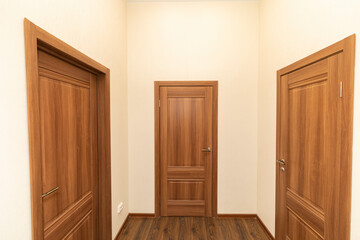 Russia. Saint-Petersburg. Doors in the corridor of the renovated apartment.