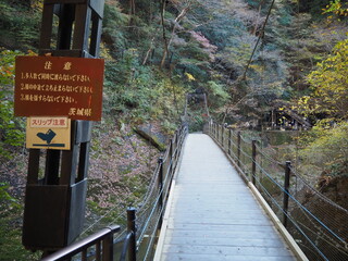 袋田の滝にある吊り橋