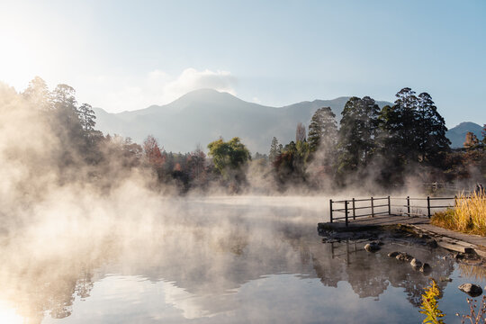 湯布院　朝霧　早朝　紅葉