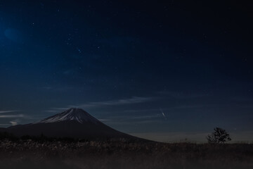 Fototapeta na wymiar 夜の富士と野原