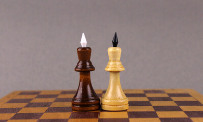 Two wooden chess kings of different colors on a chessboard