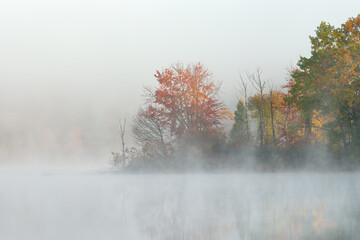Foggy autumn landscape of the shoreline and an island of Hall Lake, Yankee Springs State Park, Michigan, USA