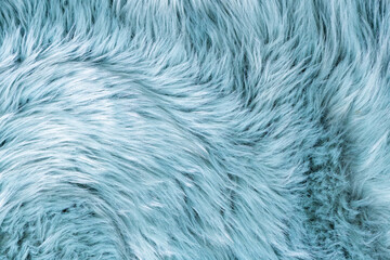 Trendy artificial fur texture. Fur pattern top view. Blue fur background. Texture of blue shaggy fur. Wool texture. Flaffy sheepskin close up - obrazy, fototapety, plakaty