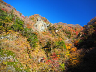 色づいた木々の紅葉が美しい風景