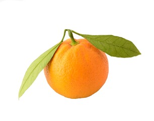One whole fresh tangerine with green leaves isolated over white background.