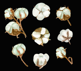 Set of watercolor cotton flowers
