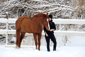 Equestrian girl walks with thoroughbred horse in the winter paddock 