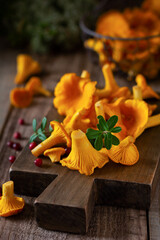 Mushrooms chanterelles in an iron retro bowl and forest moss on a wooden old background. Mock up. Top view.