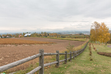 Fototapeta na wymiar Fields in Hokkaido