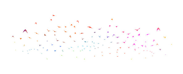 Colorful flying birds in the sky. Vector illustration