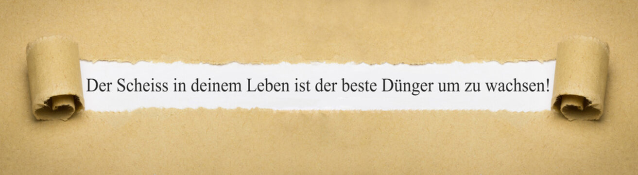 Der Scheiss in deinem Leben ist der beste D&uuml;nger um zu wachsen!