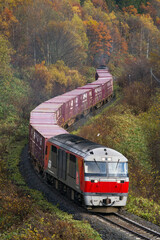 石北本線を行くDF200プッシュプル臨時貨物列車（通称玉ねぎ列車）が秋の紅葉の中を走る - obrazy, fototapety, plakaty
