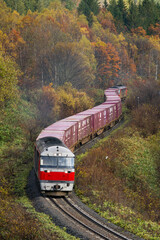 石北本線を行くDF200プッシュプル臨時貨物列車（通称玉ねぎ列車）が秋の紅葉の中を走る - obrazy, fototapety, plakaty