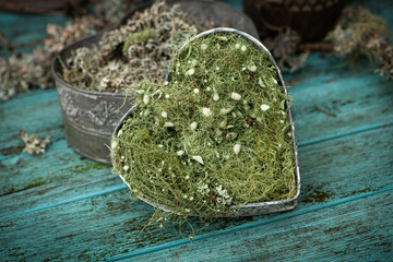 Metal heart with fresh lichen