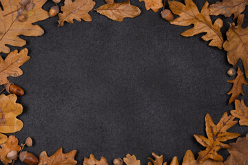 Autumn decorative dark background or frame with copy space for text with autumn oak leaves and...