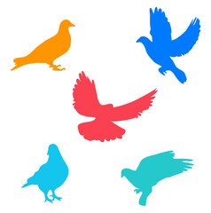 Multicolored Pigeon Icon Set of 5
