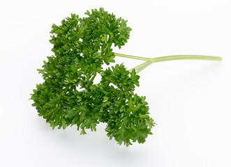 Bio parsley leaf on white background.