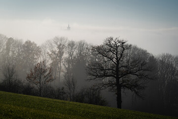 Promenade dans le brouillard dans la campagne Fribourgeoise dans la région de Romont.
Paysage en contre-juor.