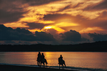 Horse running during sunset in the beach in north corfu Greece