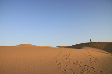 Fototapeta na wymiar インドの砂漠