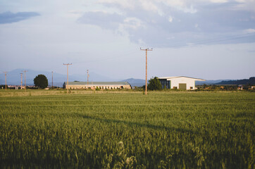 grain elevator in the countryside