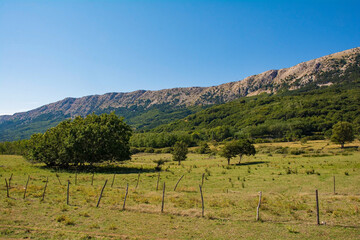 Fototapeta na wymiar The landscape near Jurandvor village in the Baska Valley on Krk island, in the Primorje-Gorski Kotar County of western Croatia 