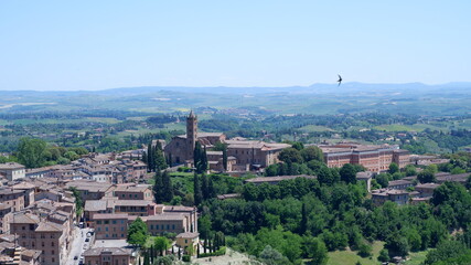 Fototapeta premium Downtown Siena skyline in Italy 