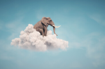 Elephant sitting on a cloud in the sky - obrazy, fototapety, plakaty