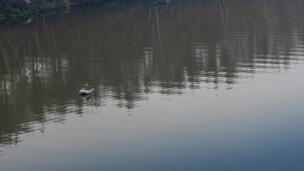 Fisherman in rubber boat on the river. Mature man fishing from the boat on the river at evening.