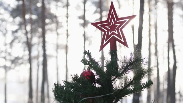 Christmas and New Year background. decoration star on tree in snowy sunny park. Shallow depth of field. Toned image.