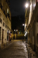 Fototapeta na wymiar A parisian street by night. 6th district, Paris, France. The 13th November 2021.