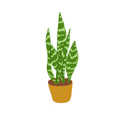 Sansevieria in a pot, potted houseplant. Large green indoor plant. Vector flat style on white isolated background 