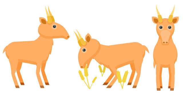 Set Abstract Collection Flat Cartoon 
Different Animal Saigas Stand, Eating Grass Vector Design Style Elements Fauna Wildlife