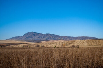 Fototapeta na wymiar field of wheat an mountain