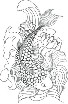 hand drawn koi fish in circle, Japanese carp line drawing coloring book vector image