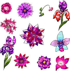 Fototapeta na wymiar Hand drawn Sakura, Peony flower and Chrysanthemum , Japanese tattoo,doodle vector set, tropical flower isolate on white background