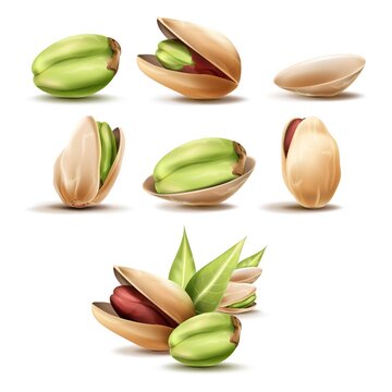 Realistic pistachios. 3D pistachio nut, ripe pistache with leaf, raw natural tasty food, kernel etc natural nuts, vegetarian cooking, tidy vector illustration