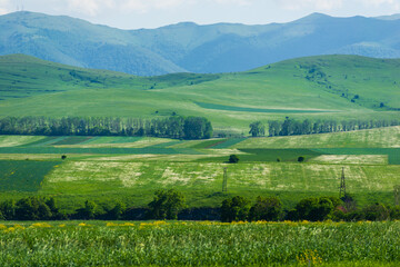 Fototapeta na wymiar Alpine landscape with field and mountains, Armenia