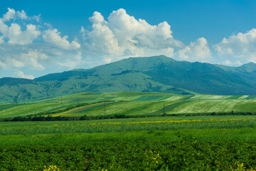 Fototapeta na wymiar Alpine landscape with field and mountains, Armenia