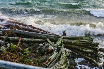 Fototapeta na wymiar Stormy Day Seascape 4