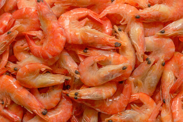 Shrimps background texture. A lot of shrimps. Cooked shrimps.