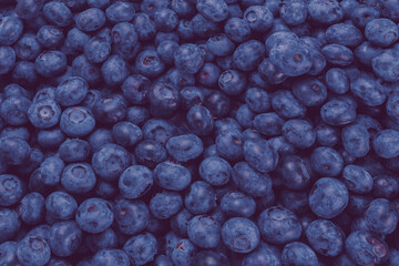 Fresh blueberry background.