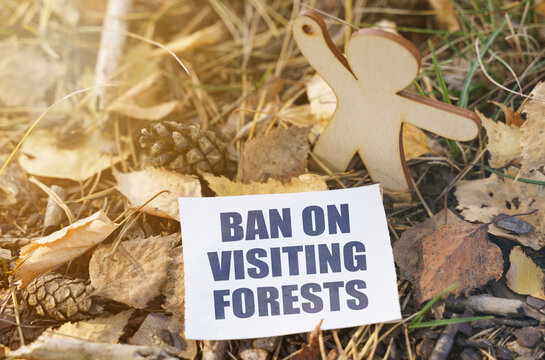 On the ground among the leaves near the wooden figure of a man paper with the inscription - ban on visiting forests