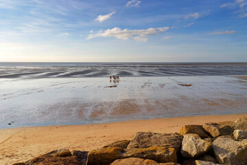 Fototapeta premium Horsemen in the Cotentin coast. Hauteville-sr-Mer beach