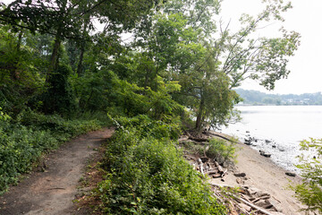 Empty Forest Hiking Trail at Little Stony Point in Cold Spring New York along the Hudson River